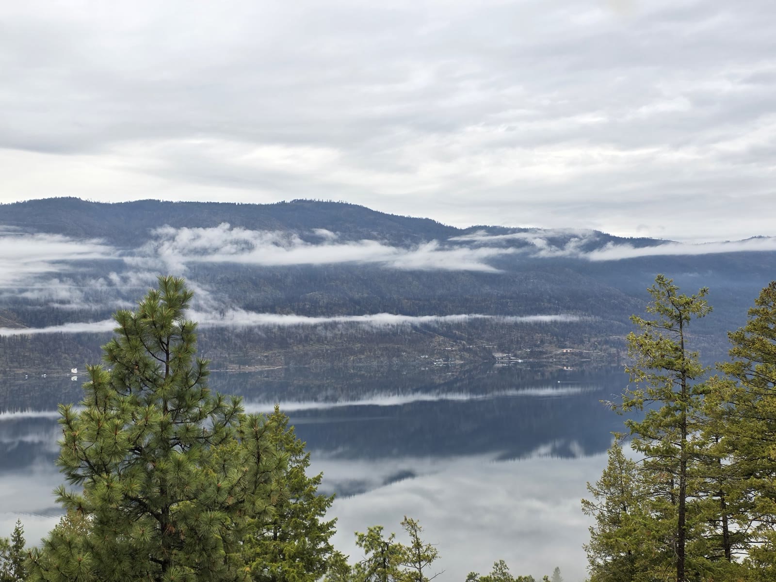 Low cloud over a calm Okanagan Lake, framed by pines