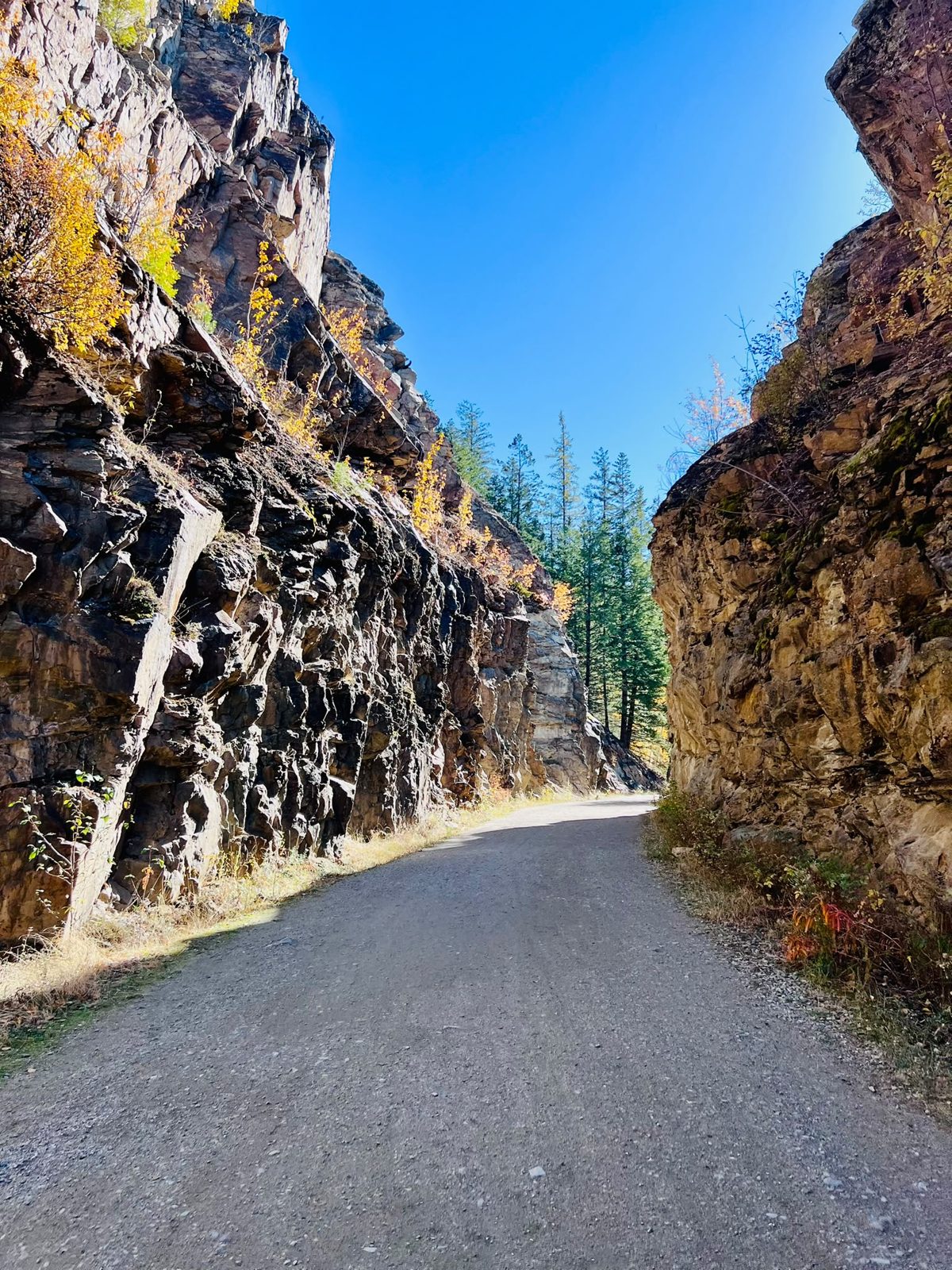 Myra Canyon trail through a rock cut